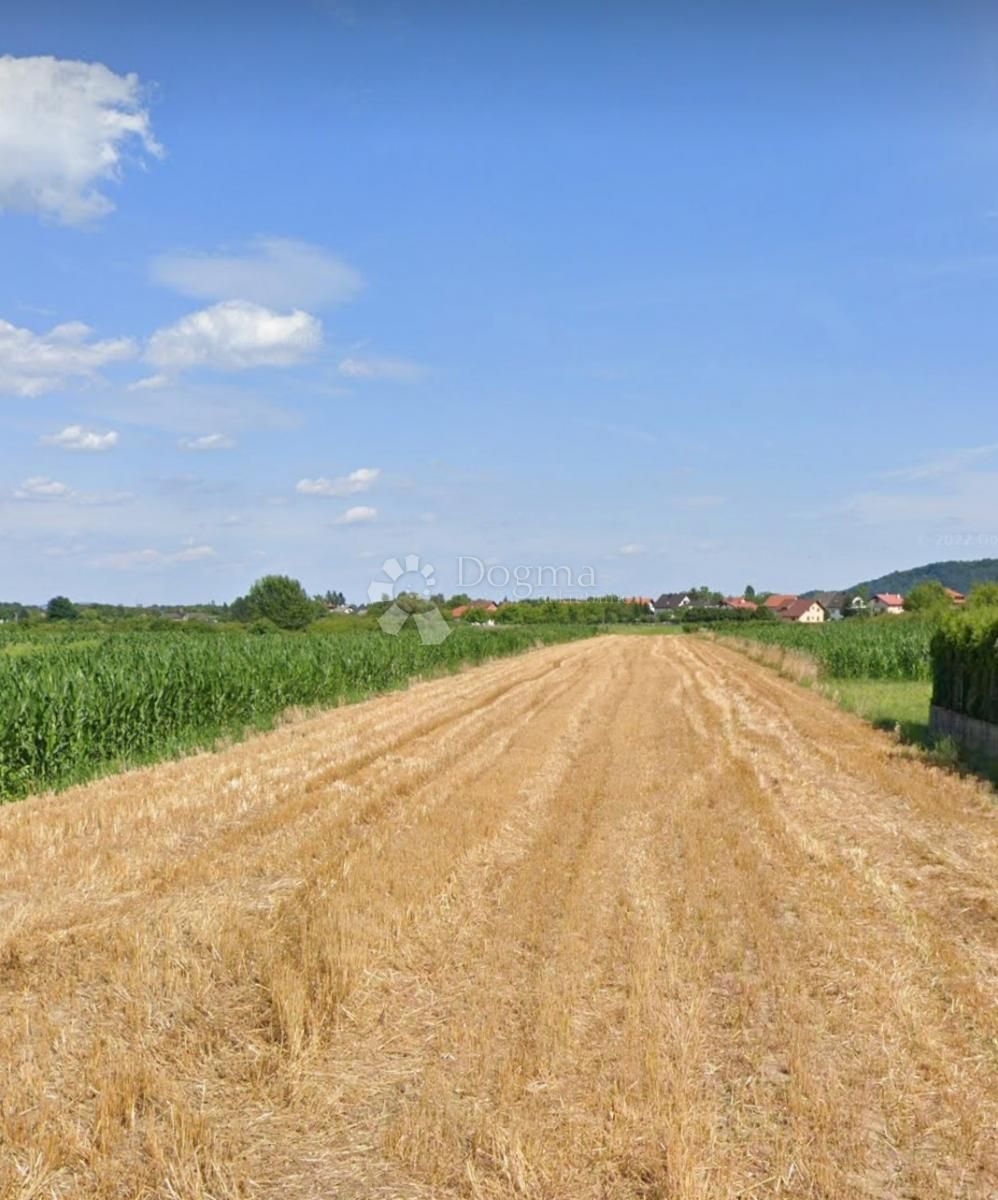 Fotografija