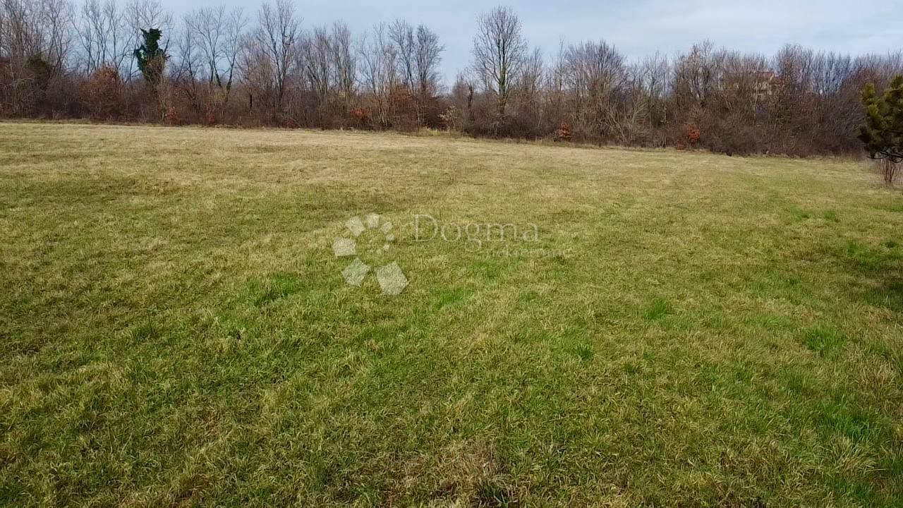 Fotografija