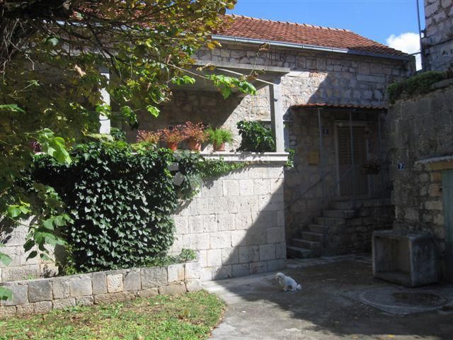 Fotografija