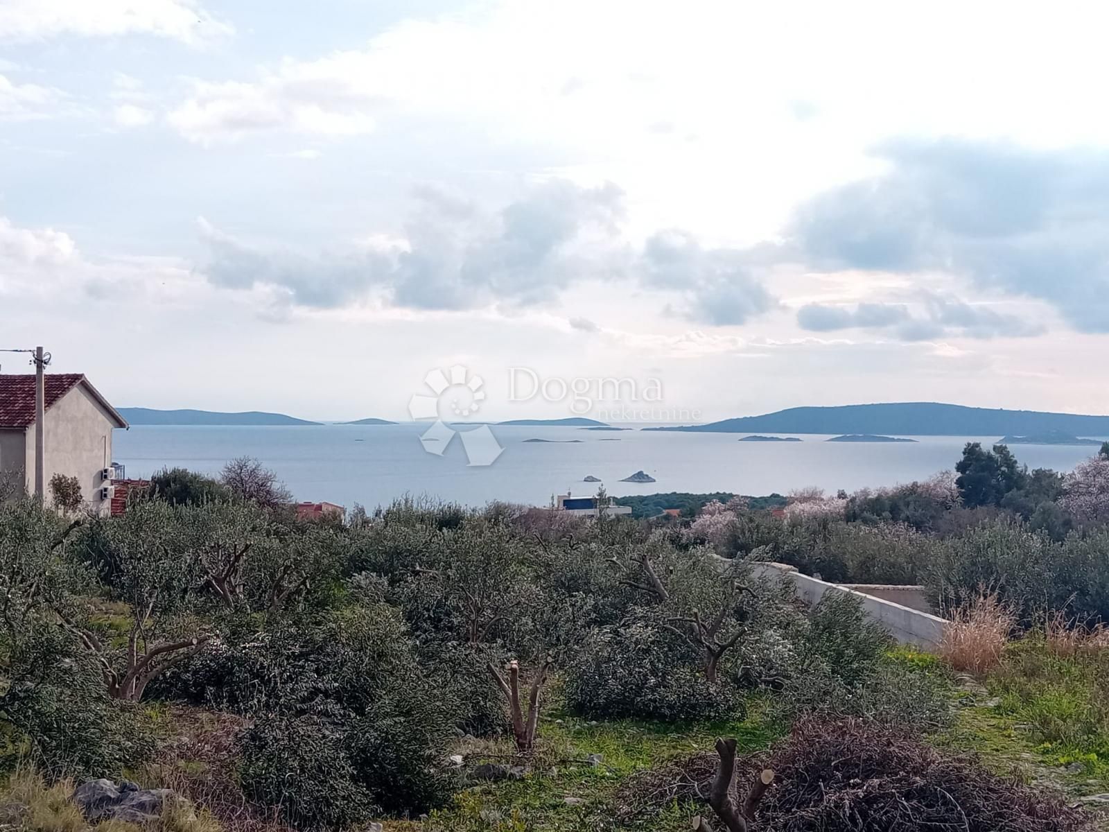 Fotografija