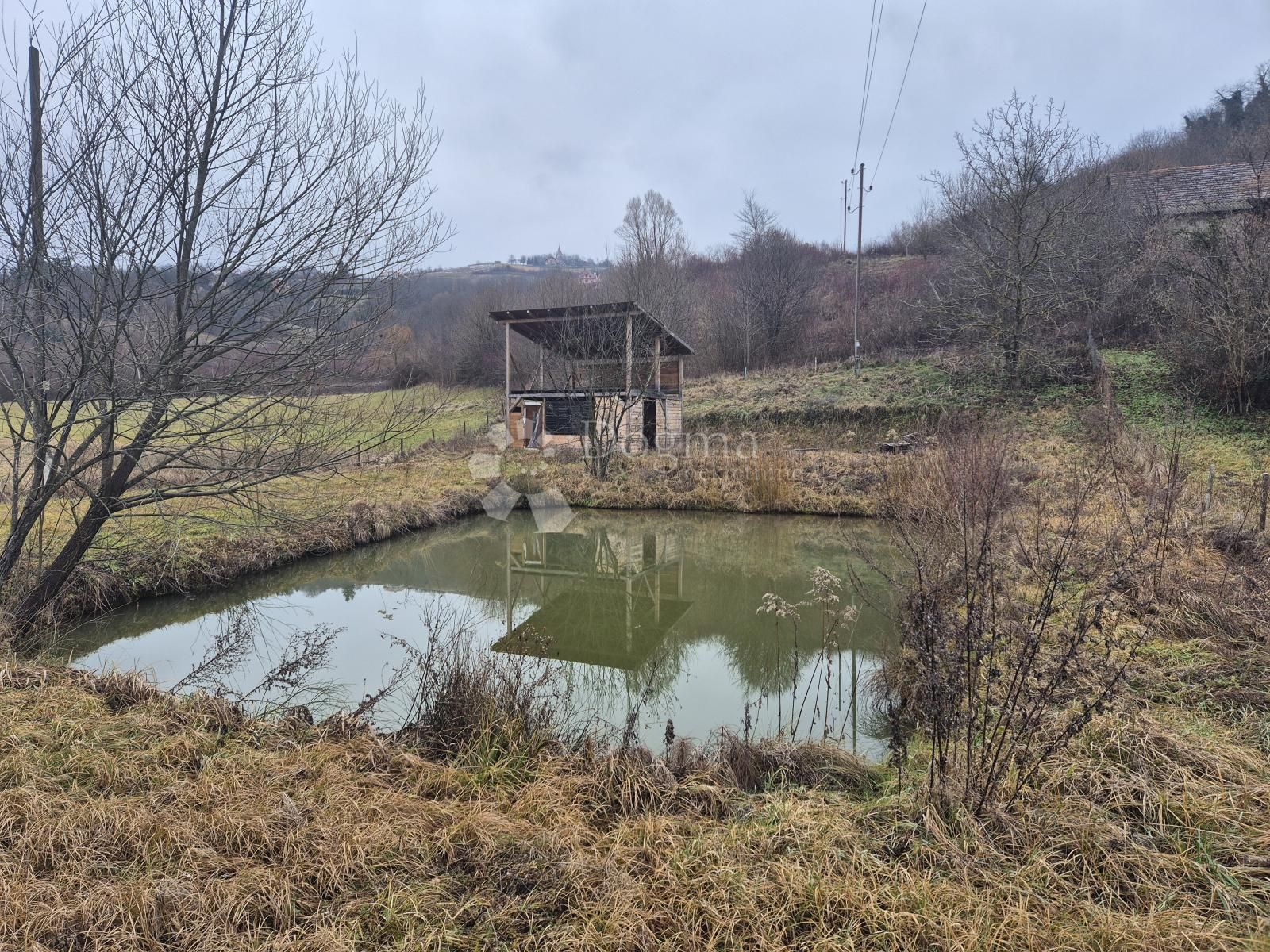 Fotografija