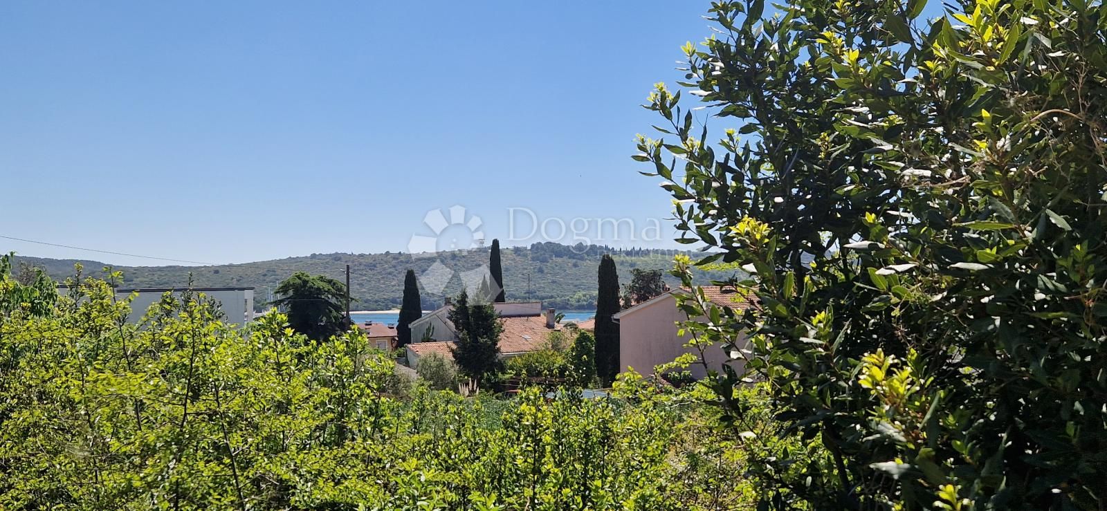Fotografija