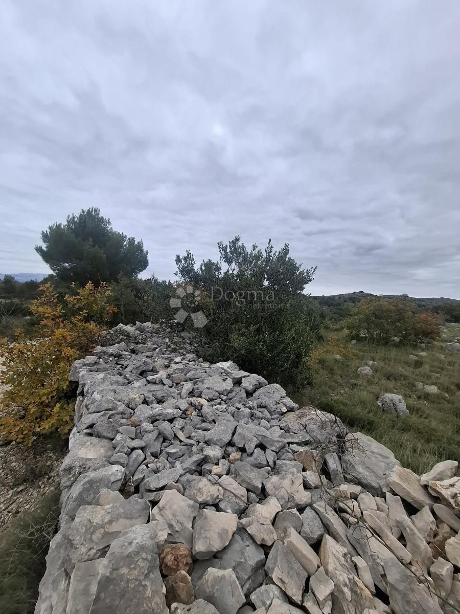 Fotografija