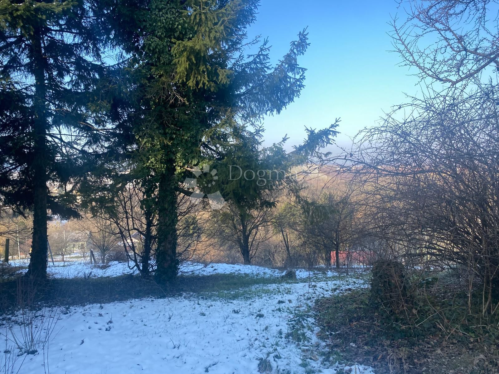 Fotografija
