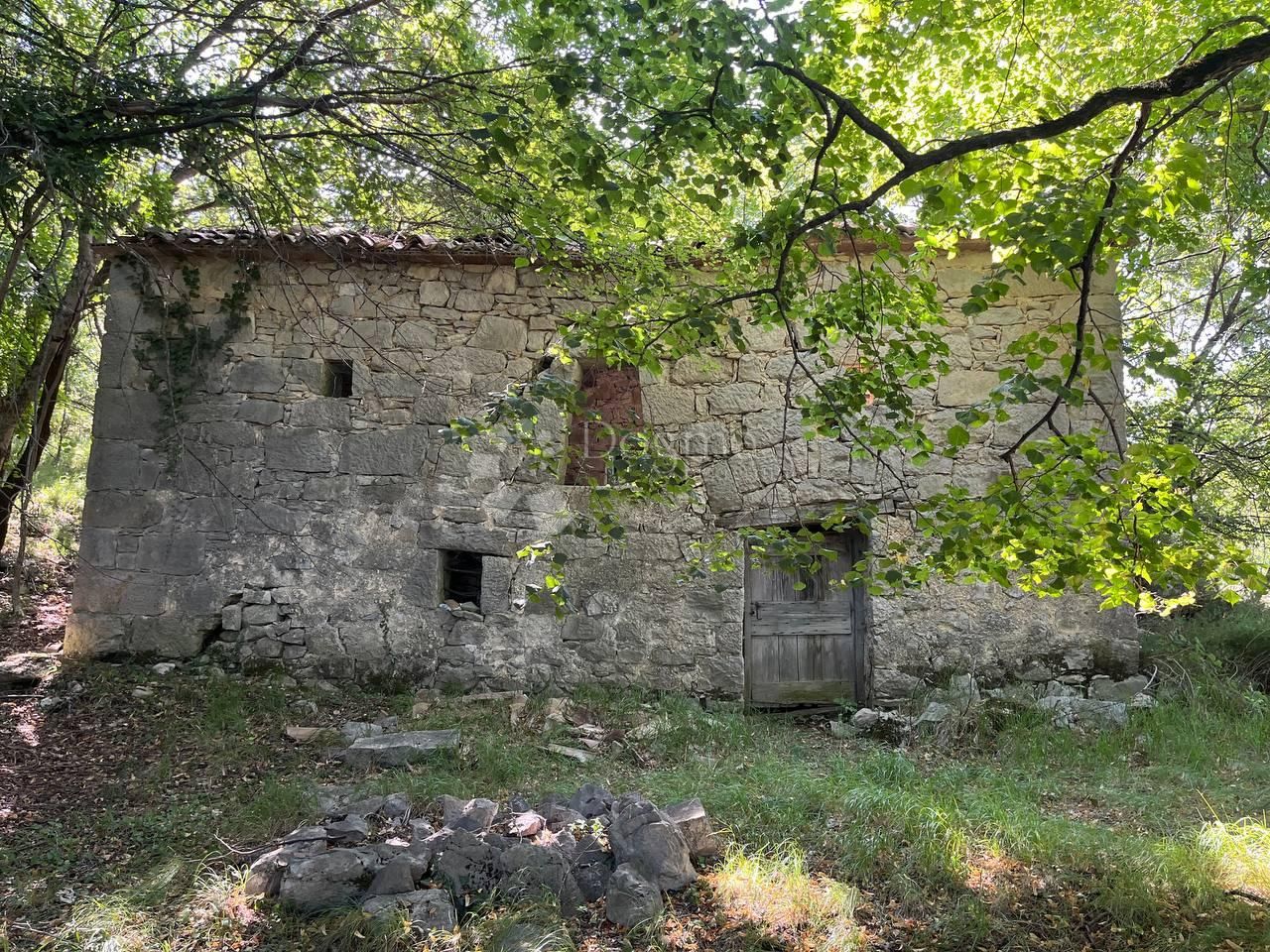 Fotografija