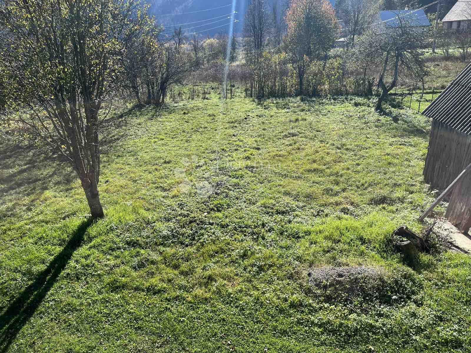Fotografija