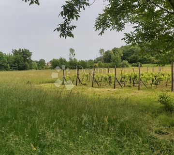 Poljoprivredno zemljište i vinograd - cover