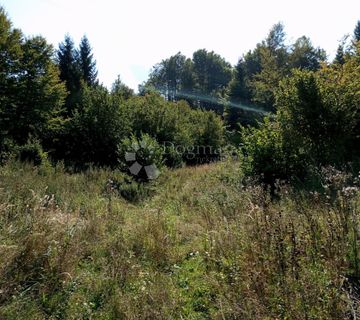 Delnice GORSKI KOTAR GRAĐEVINSKI teren 6900 M2 - cover