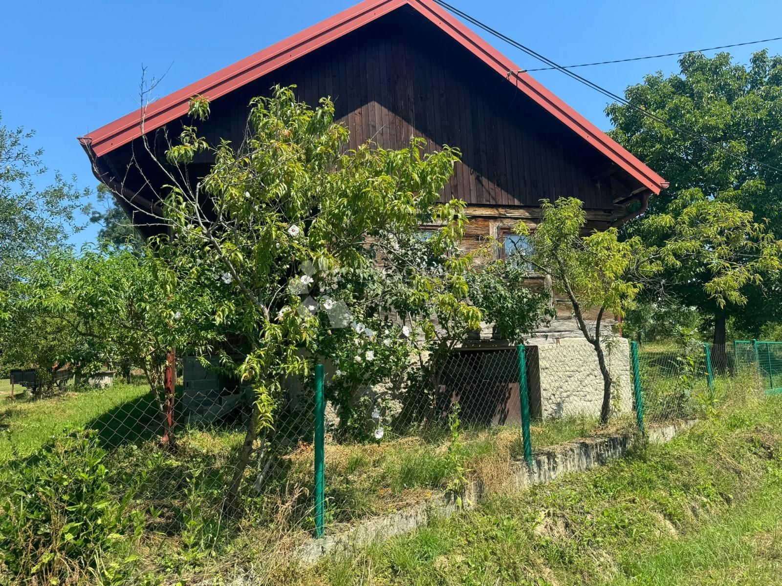 Fotografija