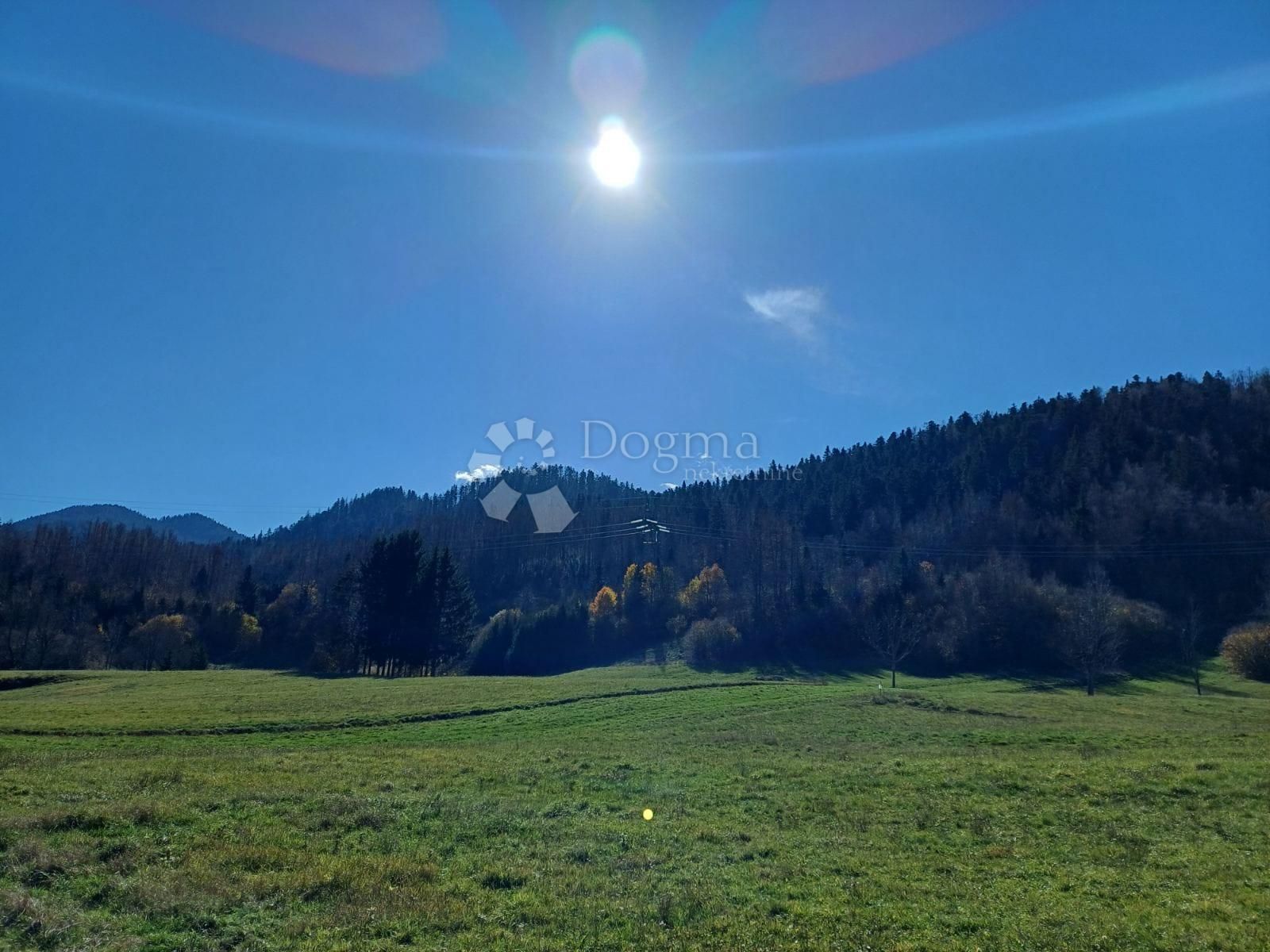Fotografija