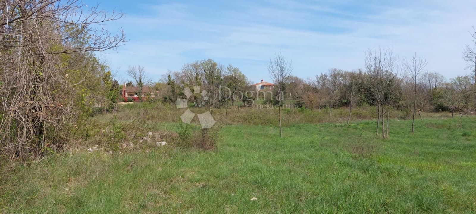 Fotografija