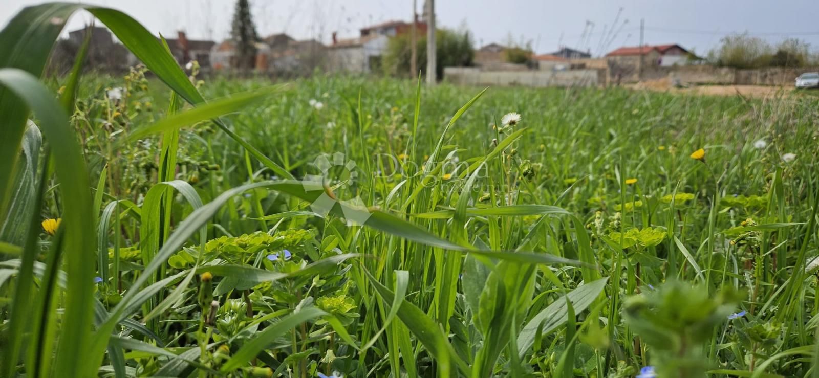 Fotografija