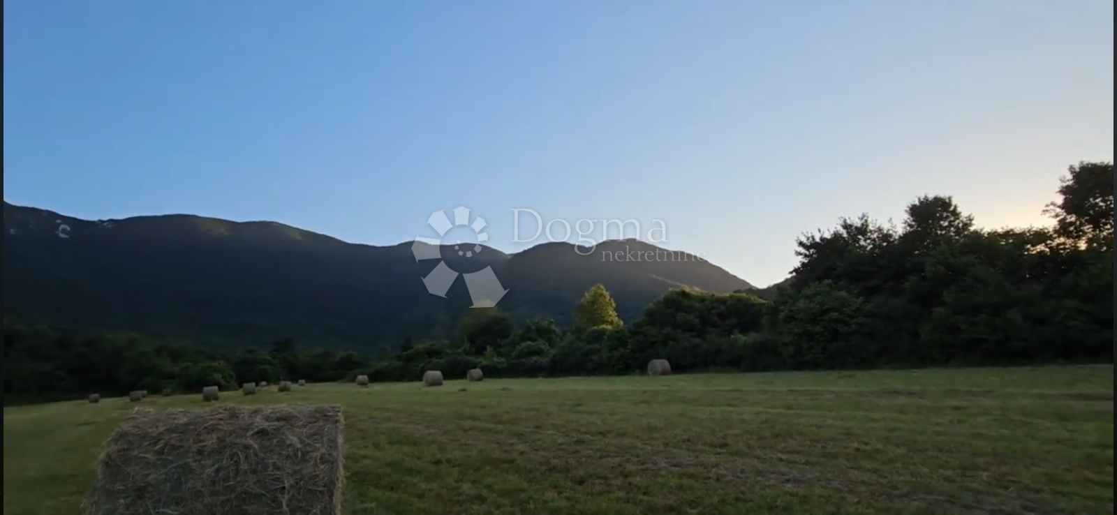 Fotografija