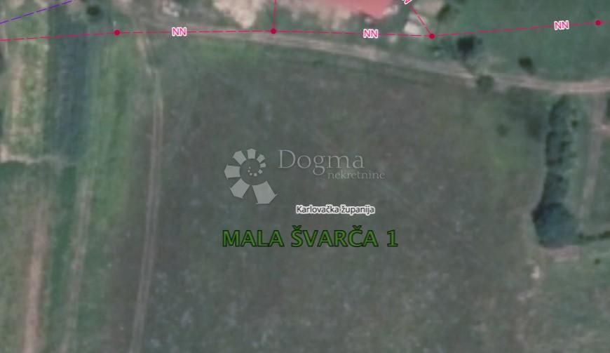 Fotografija