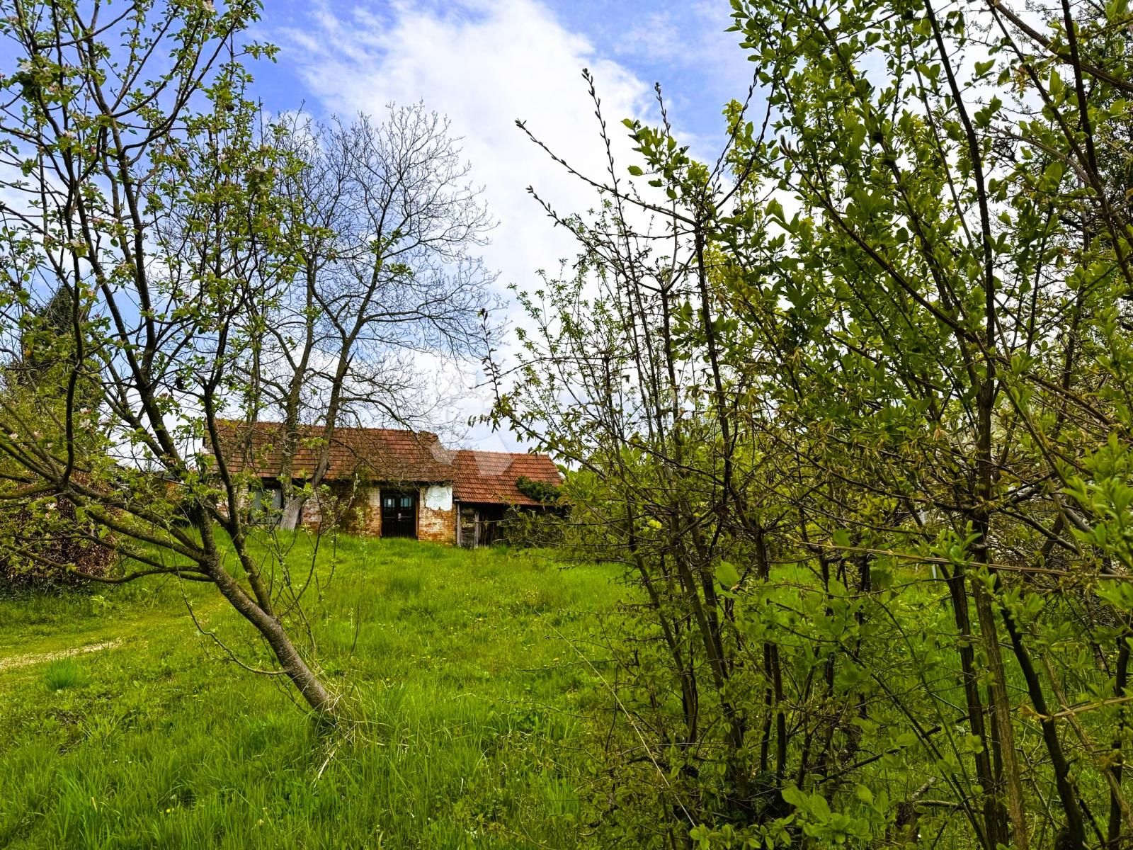 Fotografija