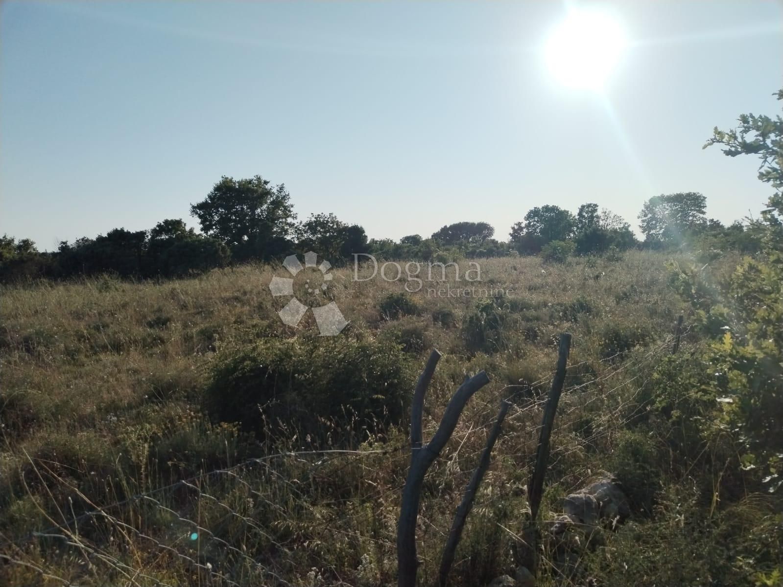 Fotografija