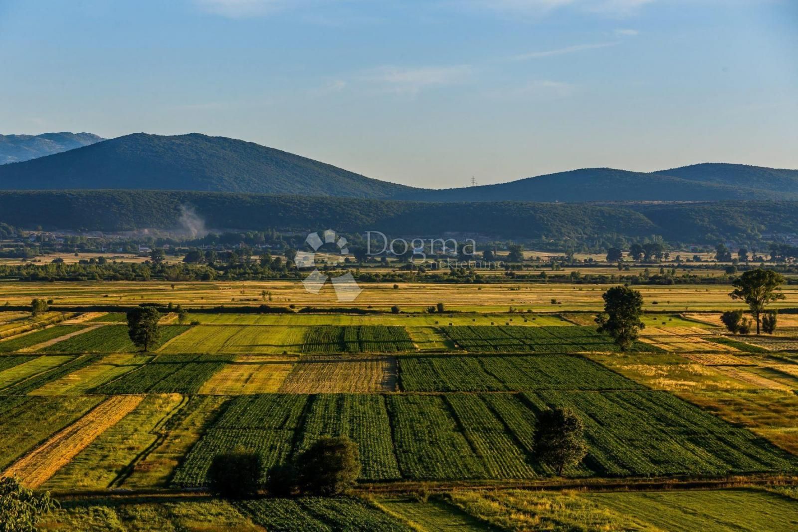 Fotografija