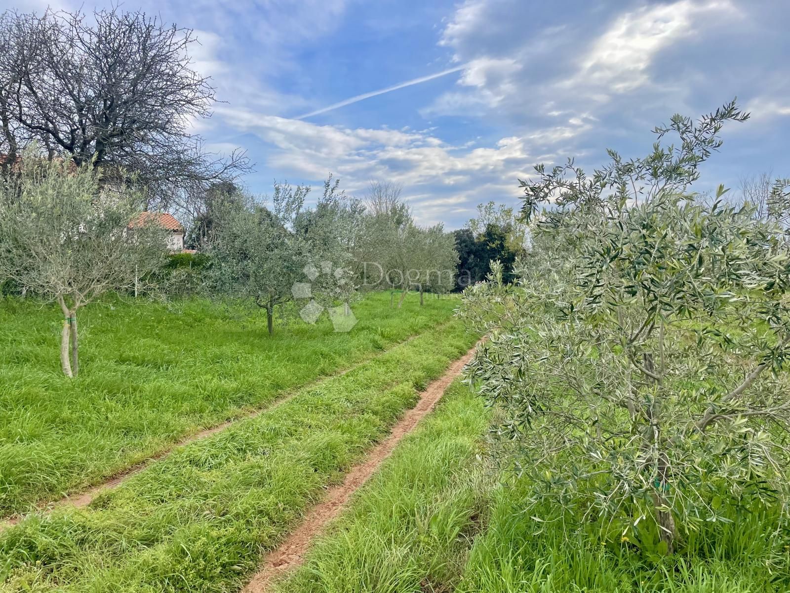 Fotografija