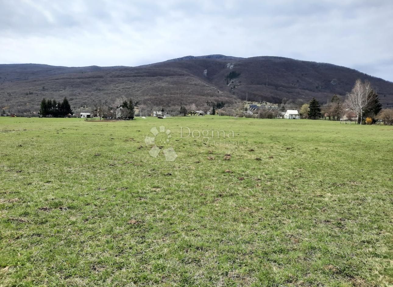 Fotografija
