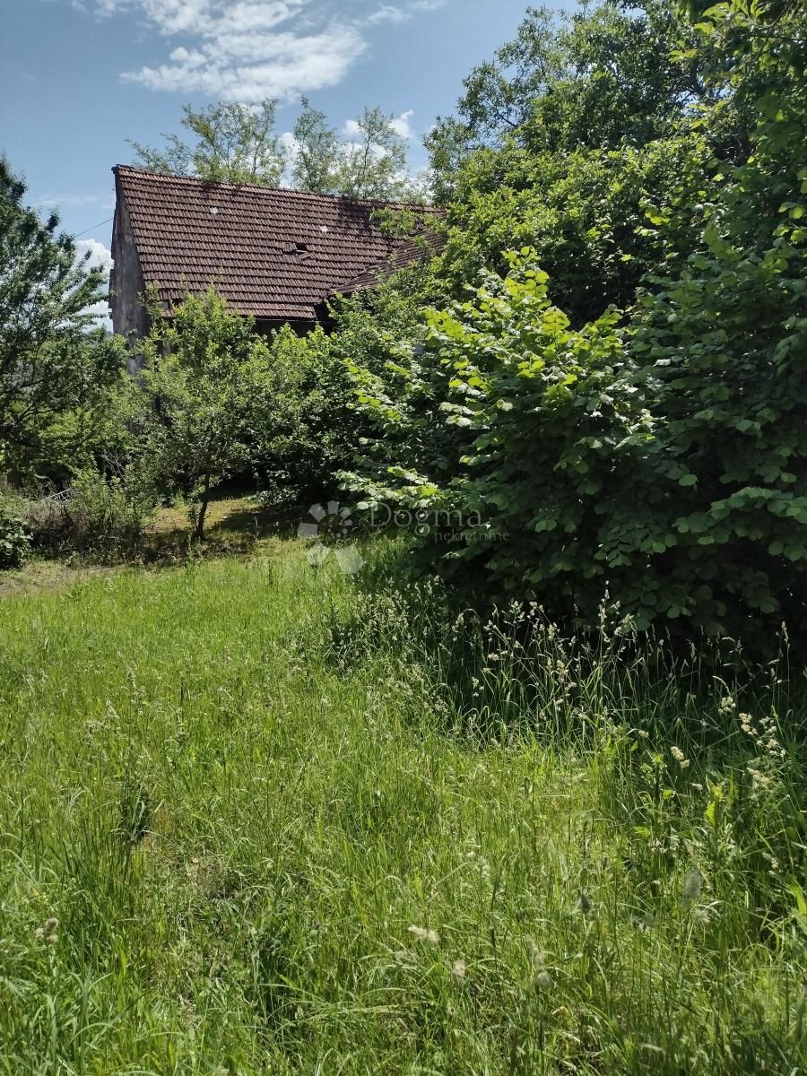 Fotografija