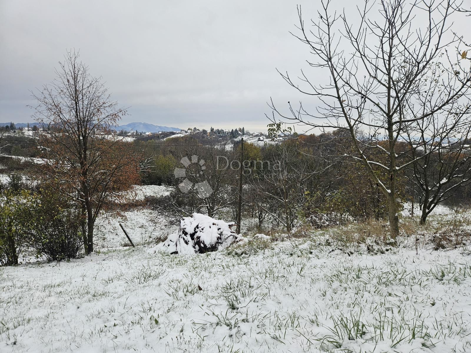 Fotografija