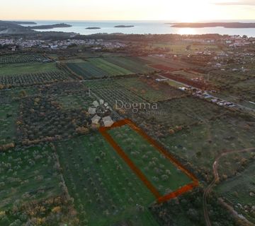Poljoprivredno zemljište s maslinikom u Fažani, 800 m od mora - cover