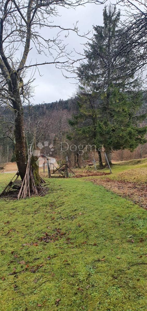 Fotografija