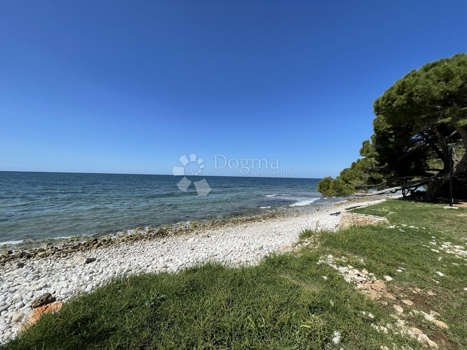Fotografija