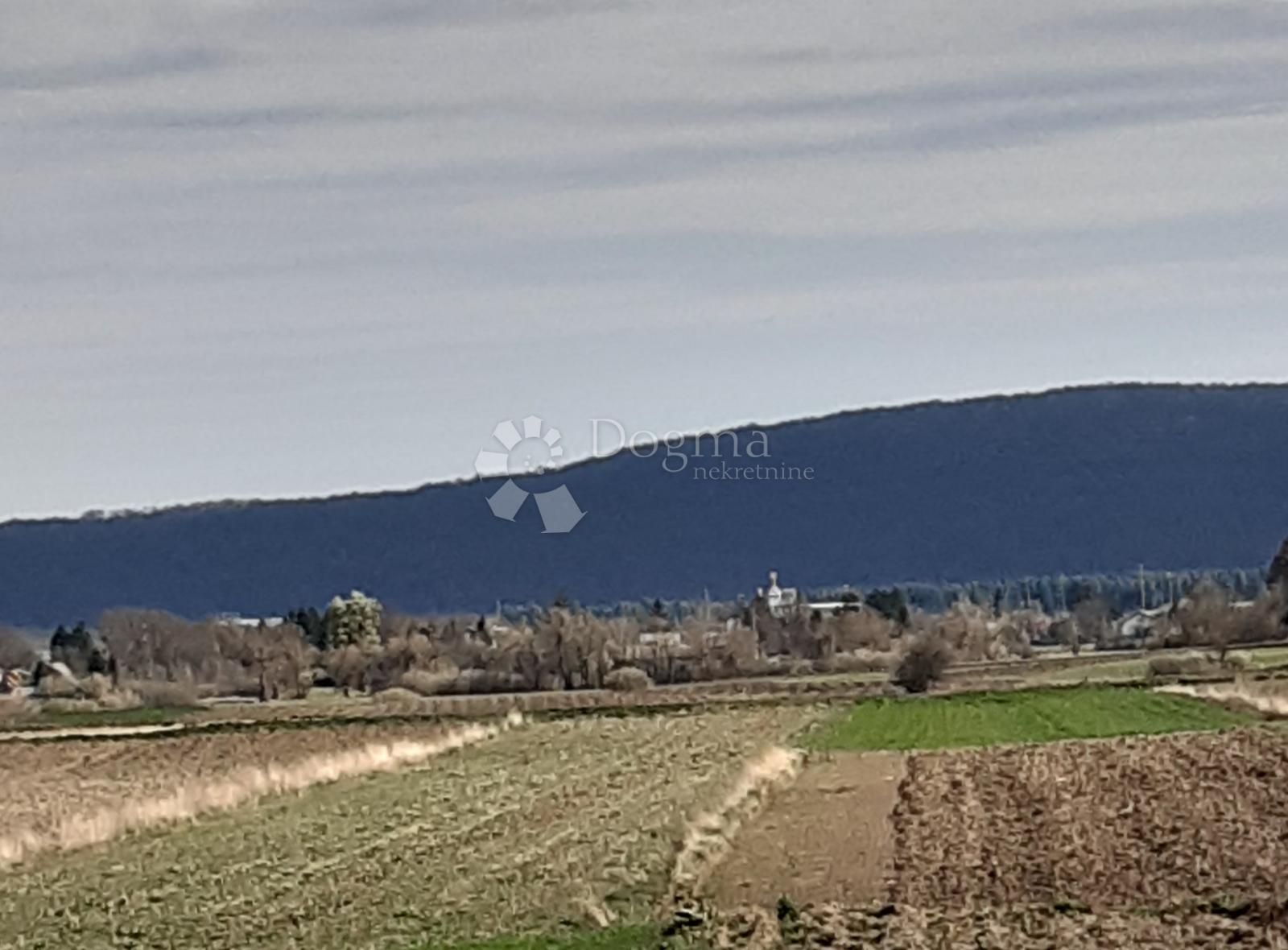 Fotografija