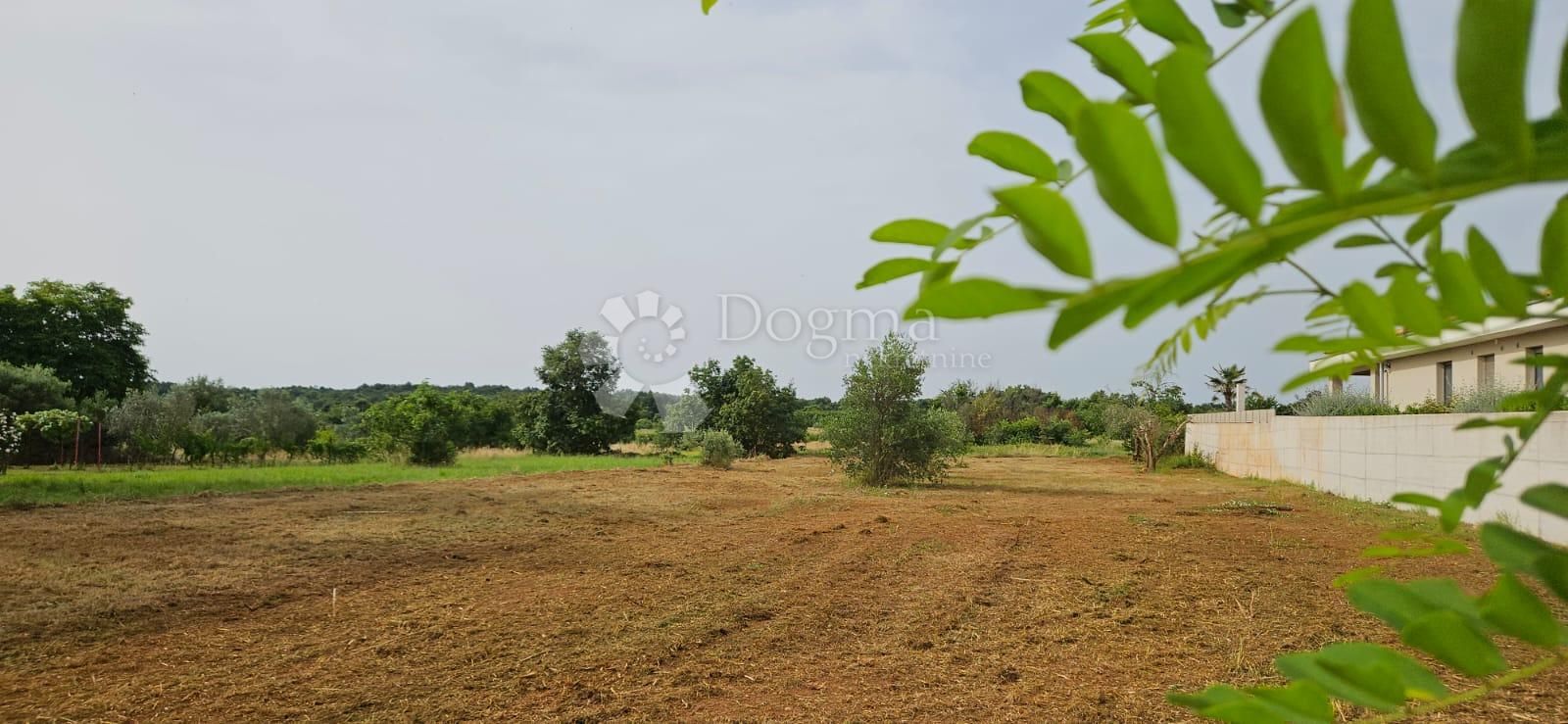 Fotografija