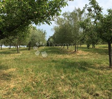 Prekrasan maslinik u okolici Baderne, 3000 m² - cover