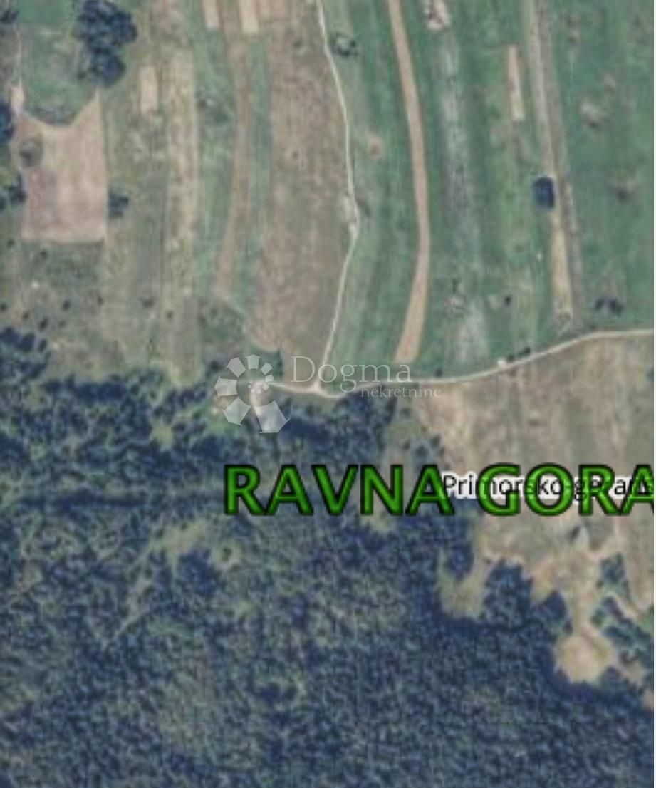 Fotografija