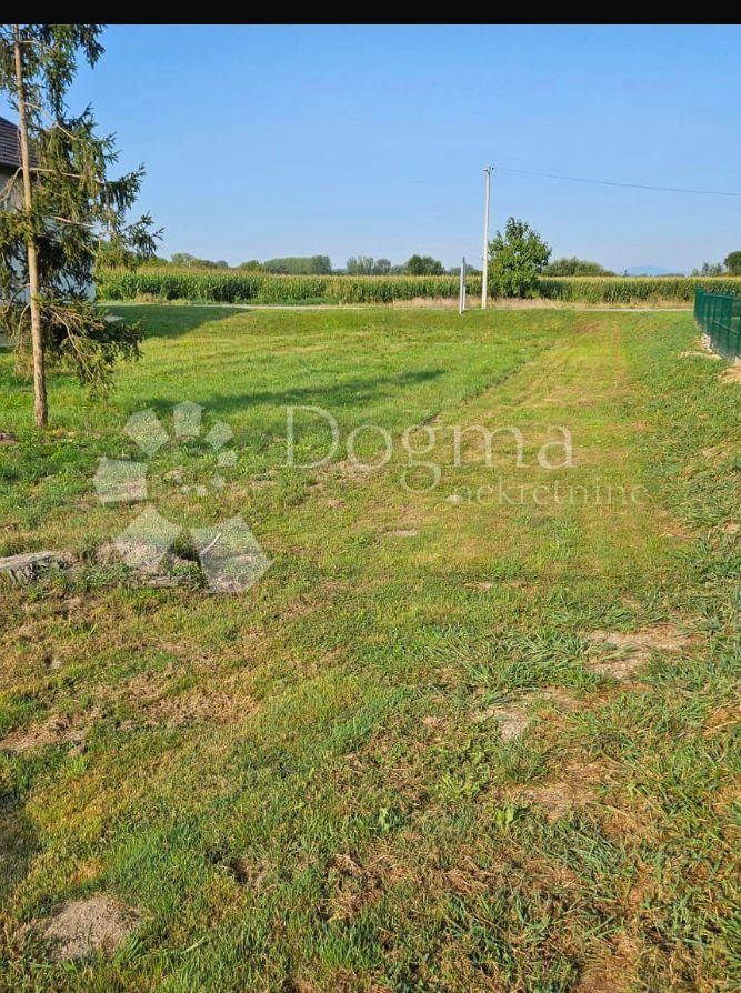 Fotografija