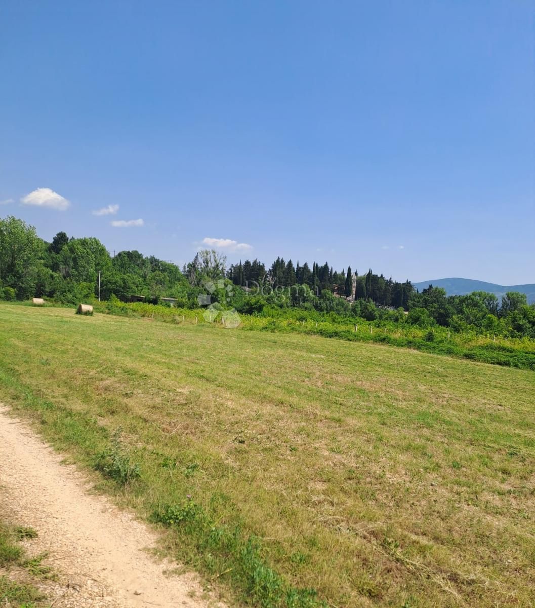 Fotografija