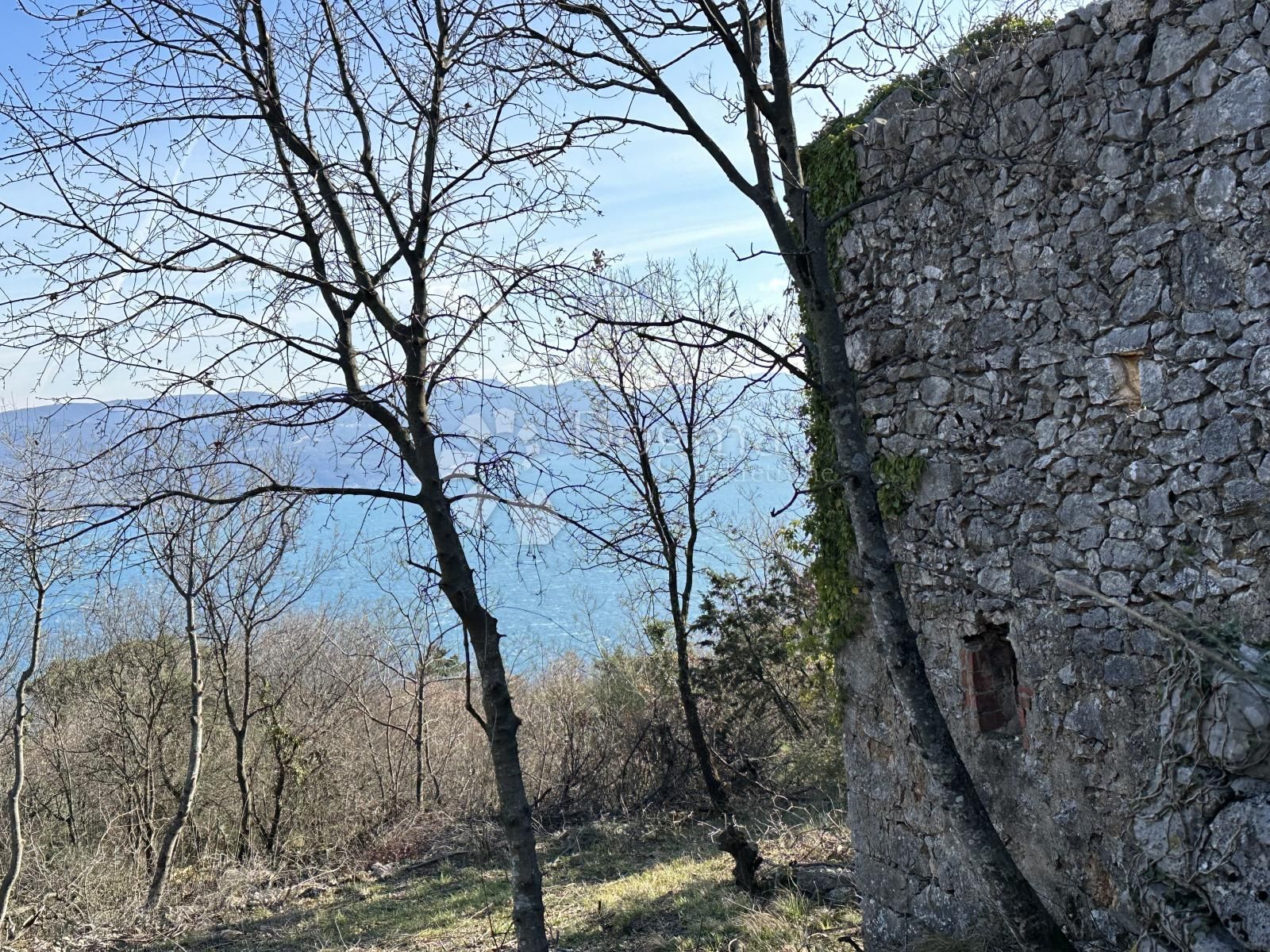 Fotografija