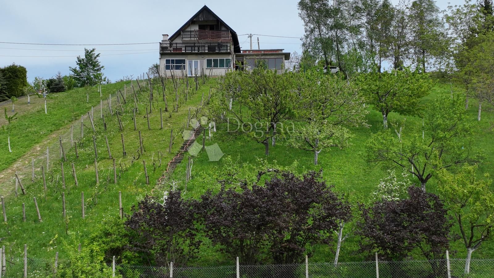 Fotografija