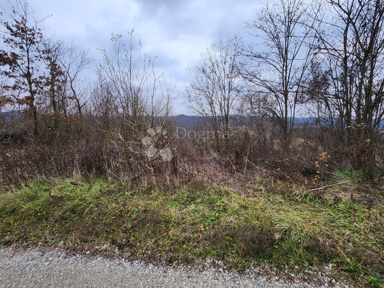 Fotografija