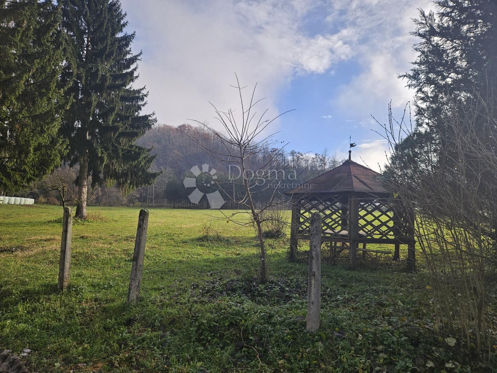 Fotografija