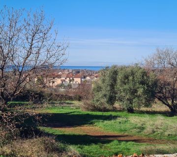 Istra, poljoprivredna parcela u Lovrečkom polju - cover