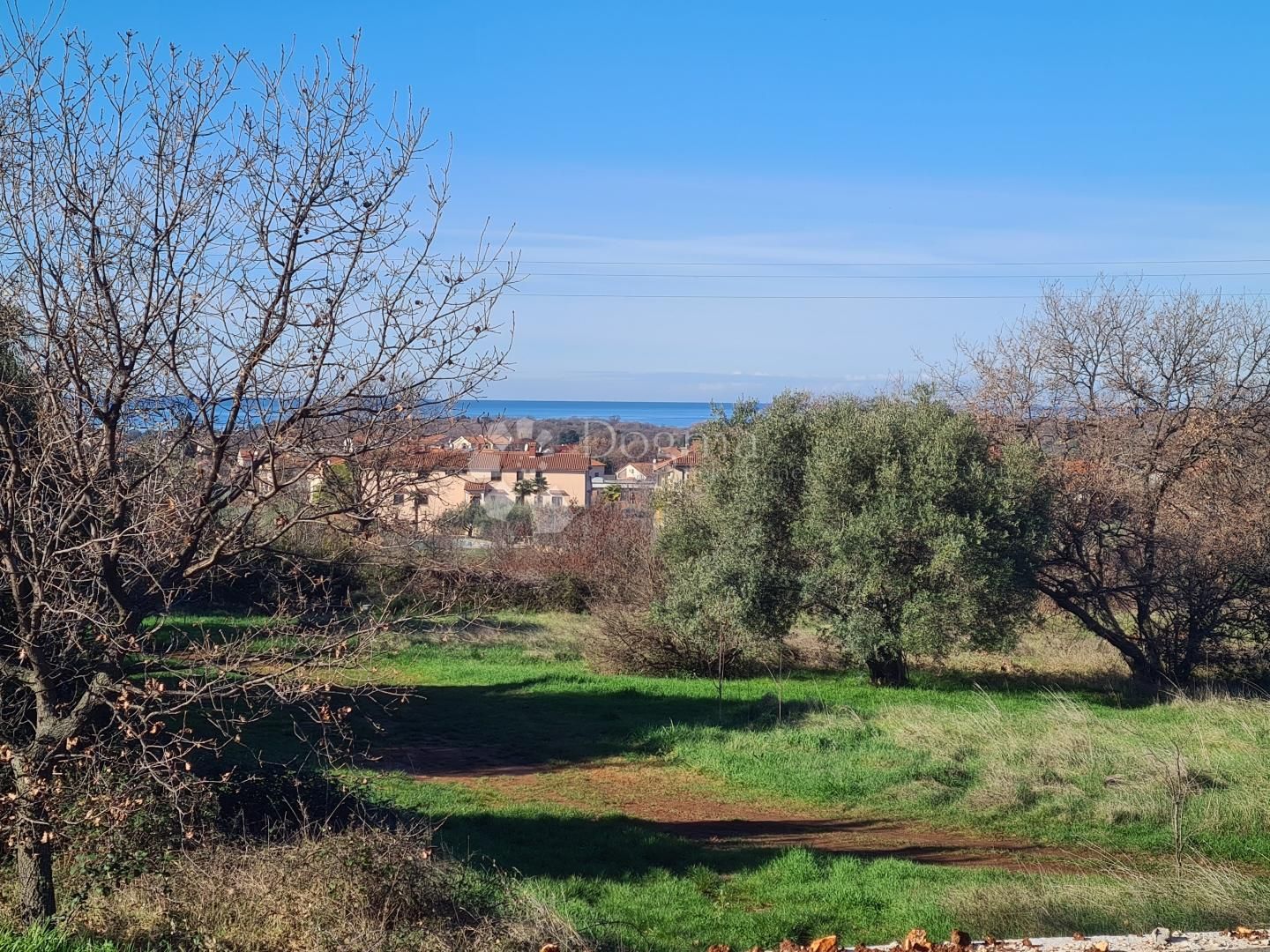 Fotografija
