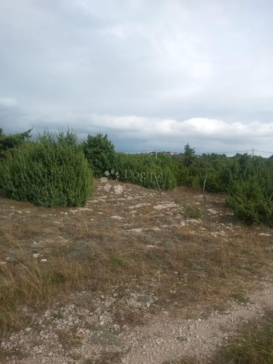 Fotografija