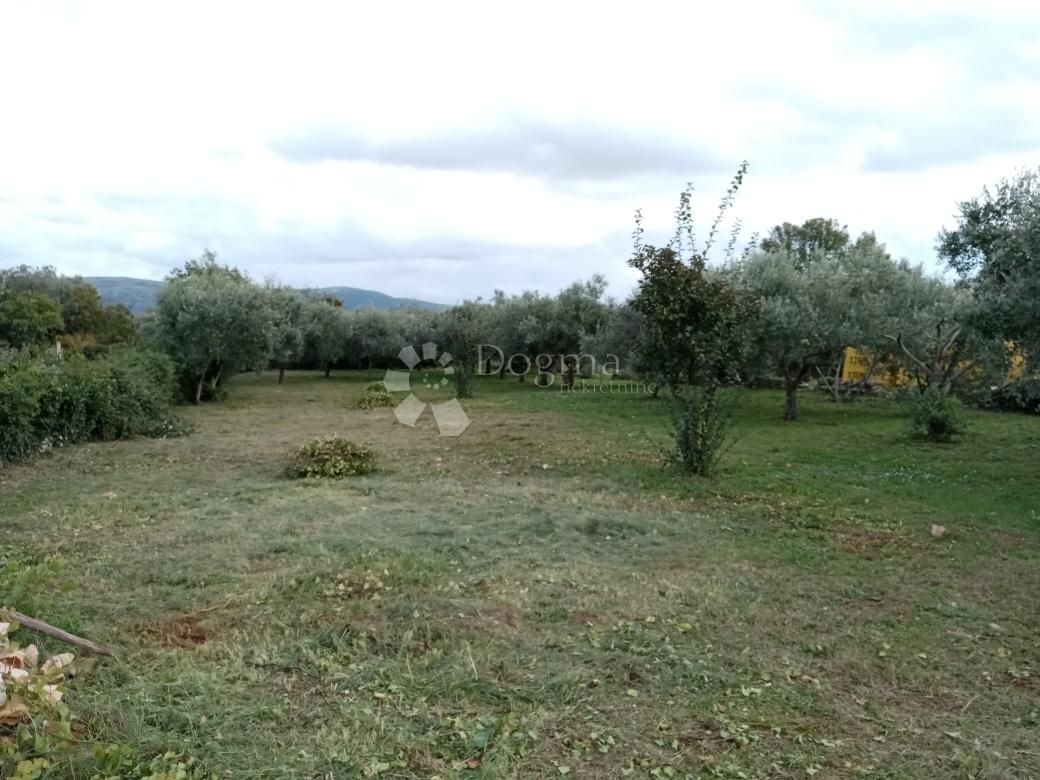 Fotografija