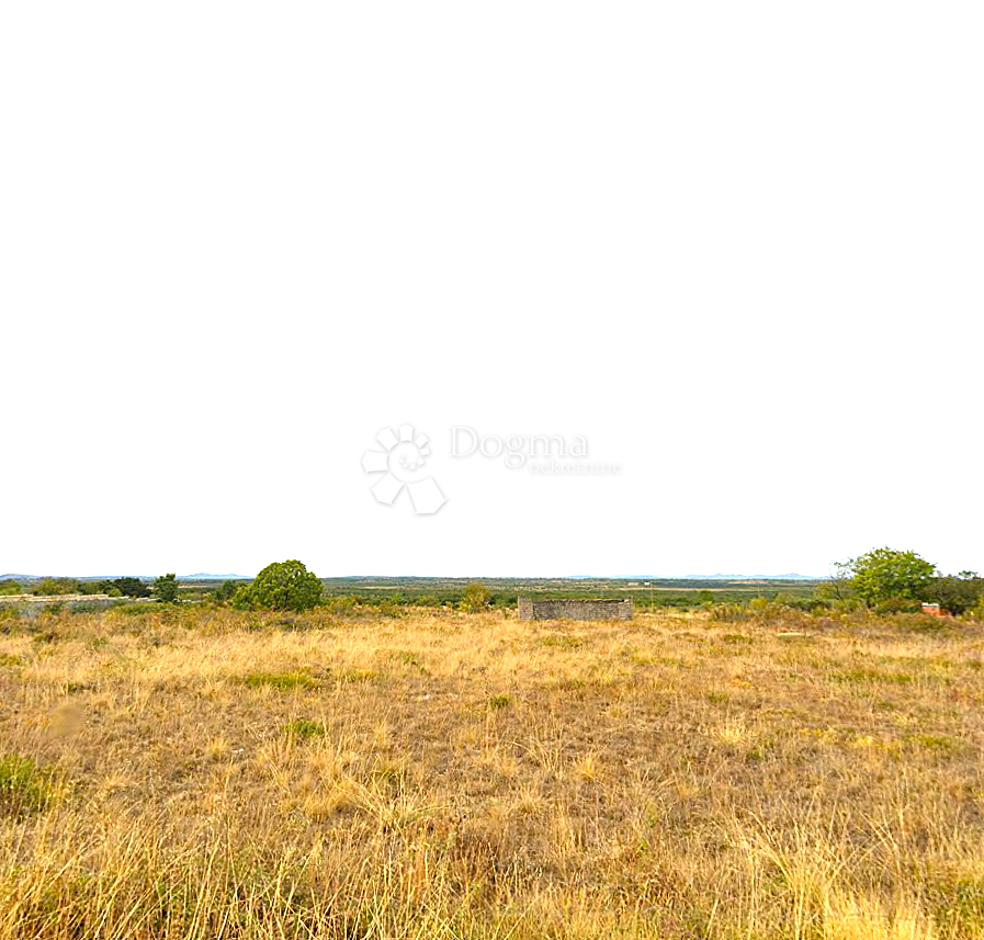 Fotografija