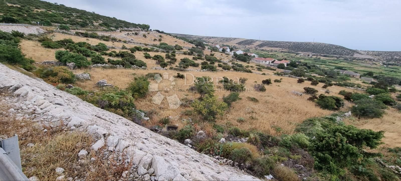 Fotografija