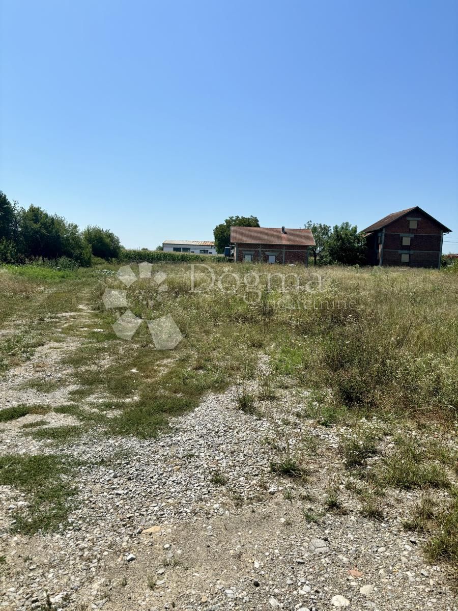 Fotografija