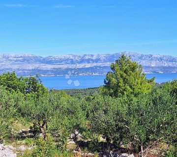 POLJOPRIVREDNO ZEMLJIŠTE NA ODLIČNOJ LOKACIJI – MIRCA, BRAČ - cover