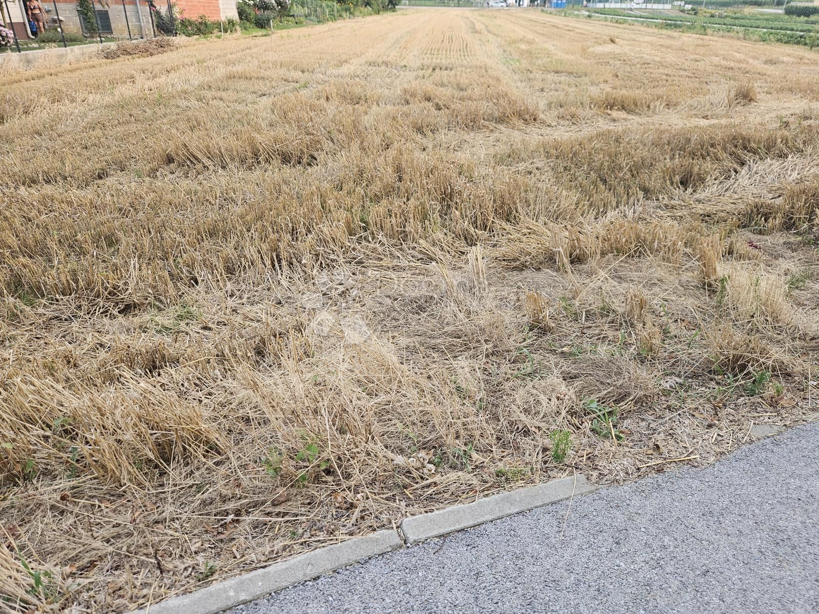 Fotografija