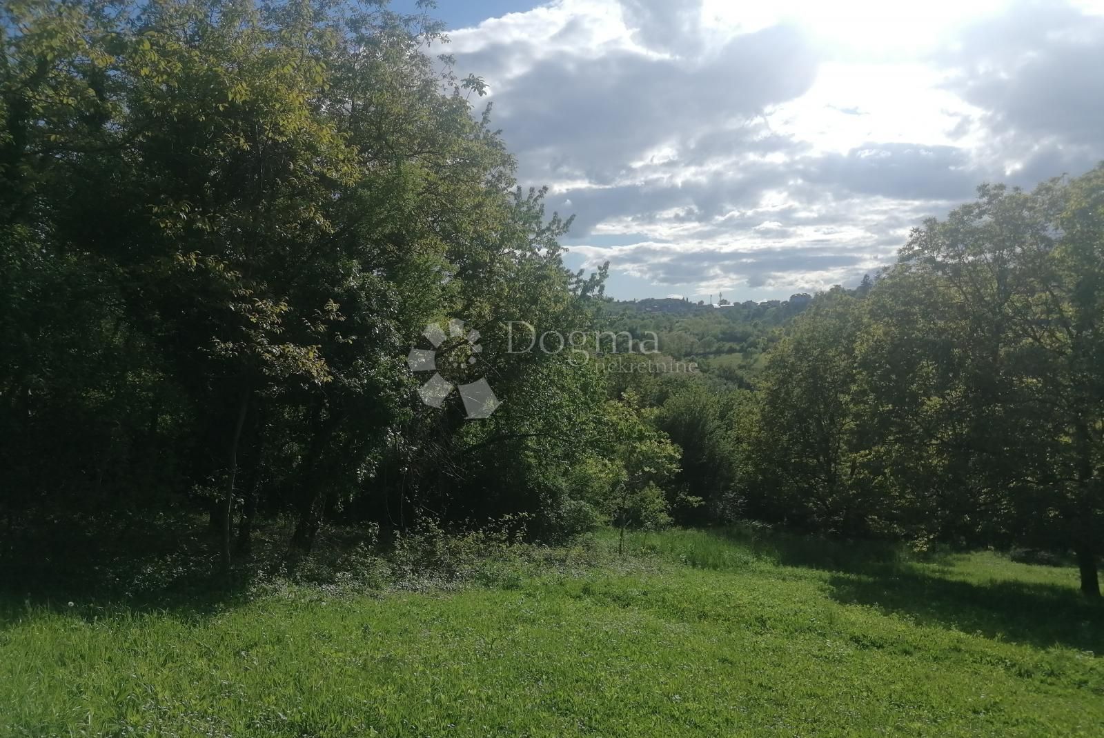 Fotografija