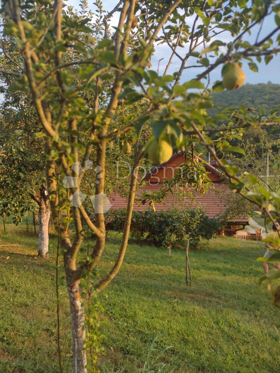 Fotografija