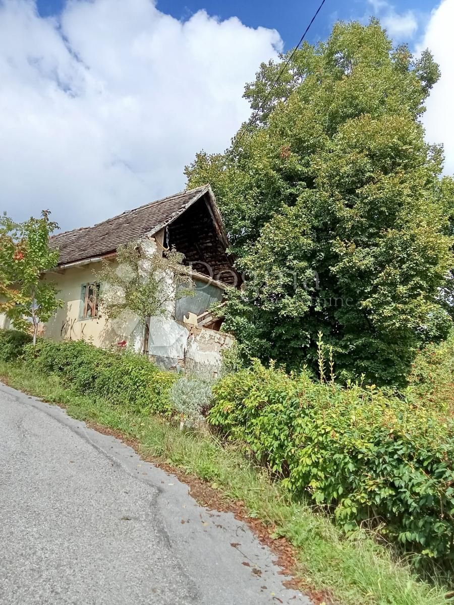 Fotografija